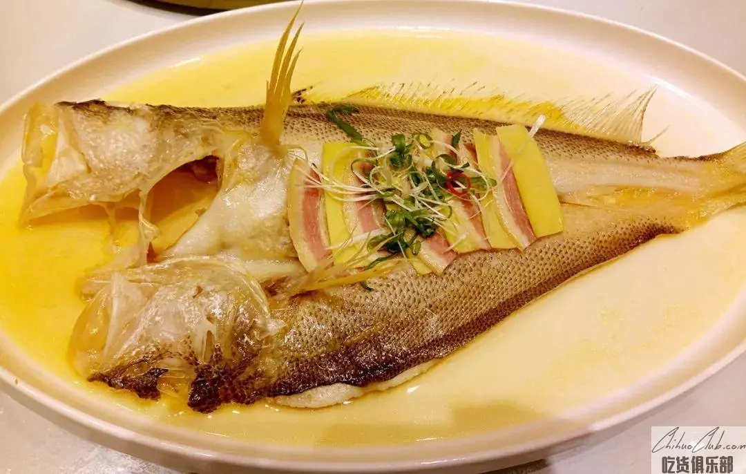 silvery fillet of large yellow croaker